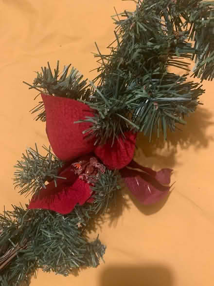 Photo of free Christmas decorations (M33 Sale) #2