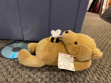 Photo of free Disney, Gap Bears, Gund Animals ++ (Pound Ridge) #1