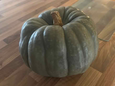 Photo of free Pumpkin (Stanway, CO3) #1
