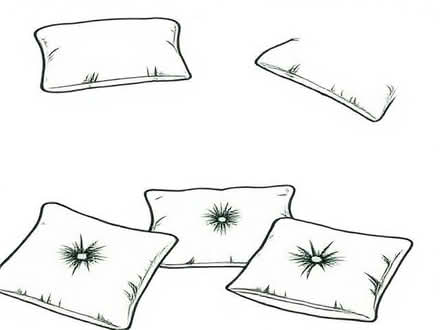 Photo of free cushions (Fareham PO16) #1