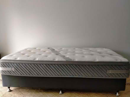 Photo of free King single bed (base & mattress) (Milsons Point) #1