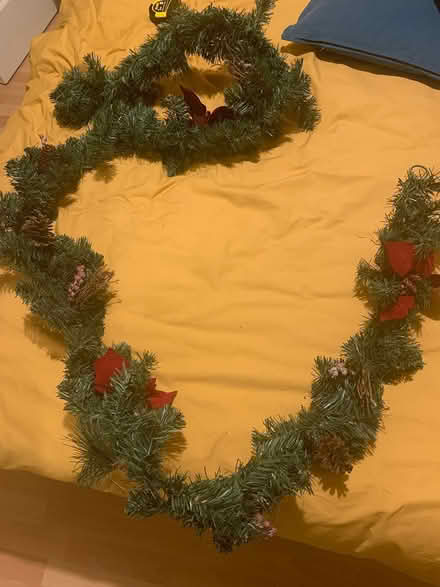 Photo of free Christmas decorations (M33 Sale) #1