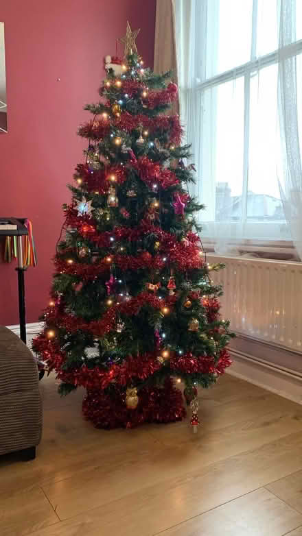 Photo of free Christmas tree (Telegraph Hill Lewisham) #3