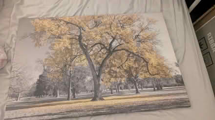 Photo of free Canvas (BN27) #1