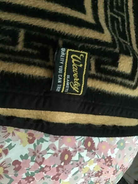 Photo of free Heavy Furry blanket (Fintry DD4) #3