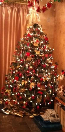 Photo of free Christmas tree. (Chatham ME5) #2