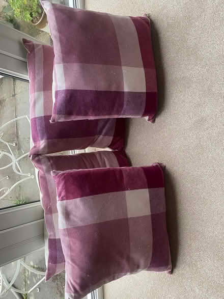 Photo of free Four large cushions (ST14) #1