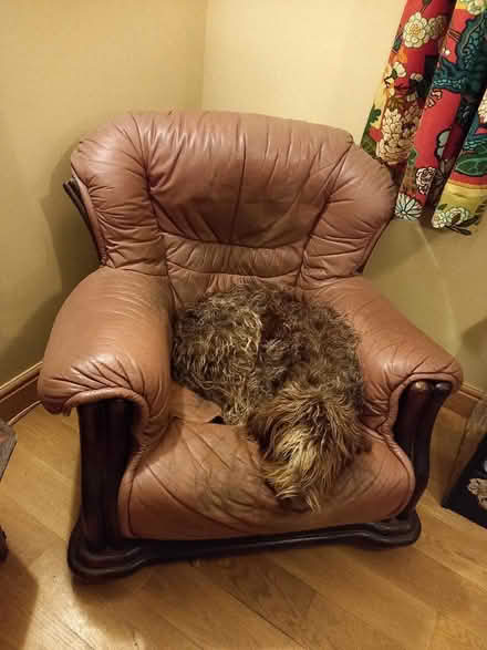 Photo of free Chair frame to upcycle (Dufton CA16) #1