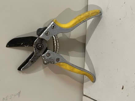 Photo of free Yellow Secateurs (CT10) #1