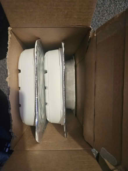 Photo of free Grain free wet dog food - 5 trays (Liverpool L17) #2