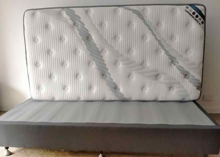 Photo of free King single bed (base & mattress) (Milsons Point) #3