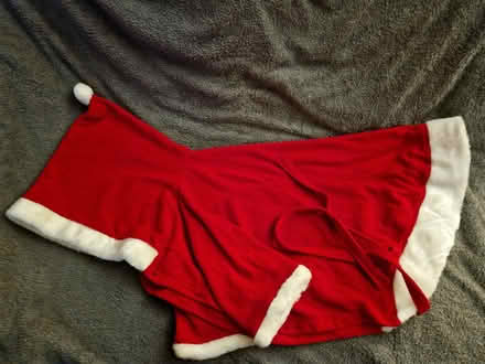 Photo of free Doggy Xmas outfit (Wakefield WF2) #2