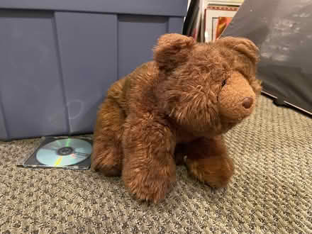 Photo of free Teddy Bears & Other Stuffed Animals (Pound Ridge) #3