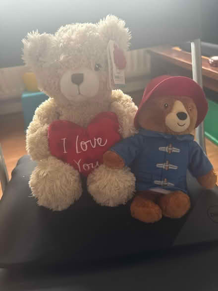 Photo of free Teddy 💜 (Green lanes N4) #1