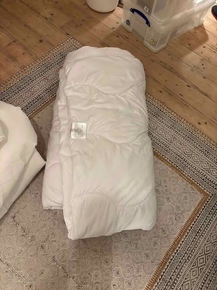 Photo of free Duvets (Finsbury Park, London, N4) #3