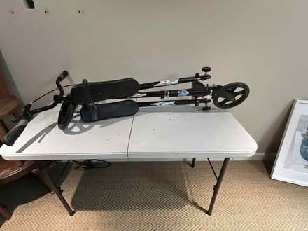 Photo of free Child’s Flicker (CT10) #1