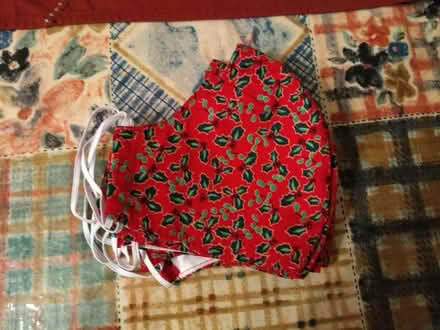 Photo of free Christmas facemasks- large (Bearwood BH11) #1