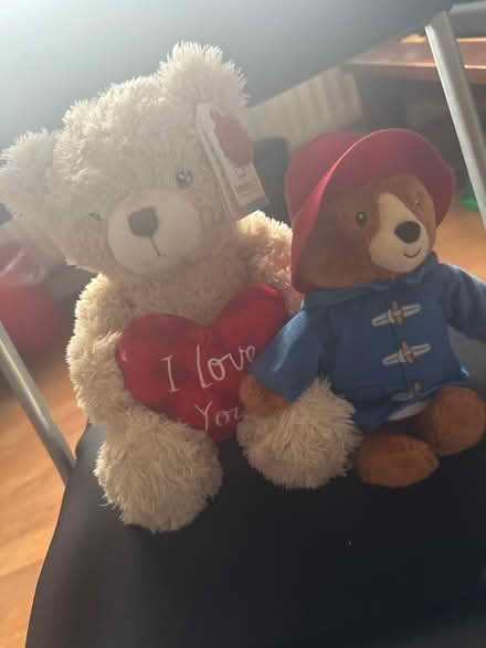 Photo of free Teddy 💜 (Green lanes N4) #2