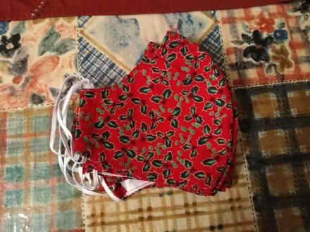 Photo of free Christmas facemasks (Bearwood BH11) #1