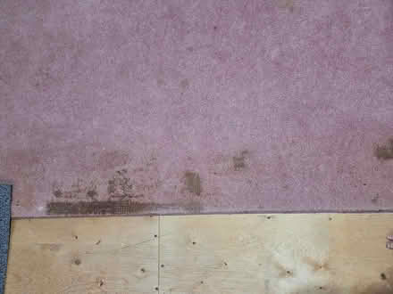 Photo of free 3 area rugs, fair condition (Wellington village) #3