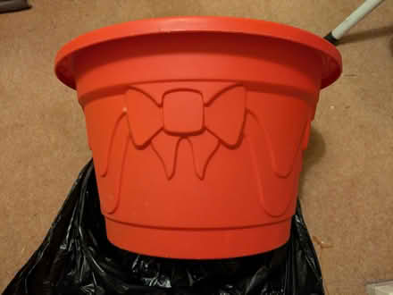 Photo of free Christmas Tree Pot (Barkham RG41) #1