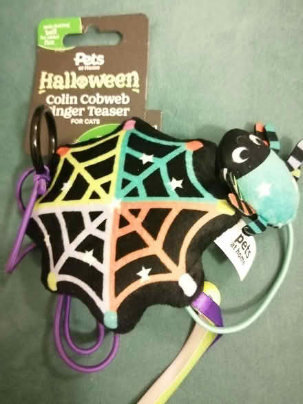 Photo of free Halloween Pets at Home toy (Worcester) #1