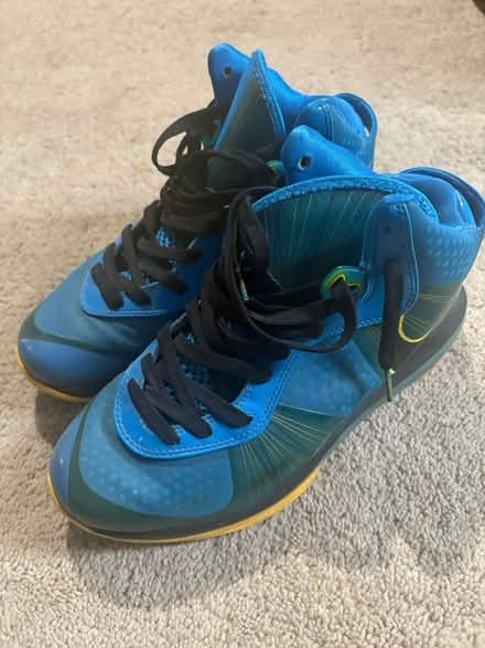 Photo of free Nike LeBron James sneakers sz 9 (Union, NJ) #1