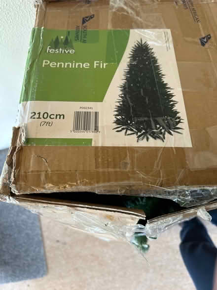 Photo of free 7 foot Christmas tree hinged (Shepperton tw) #1