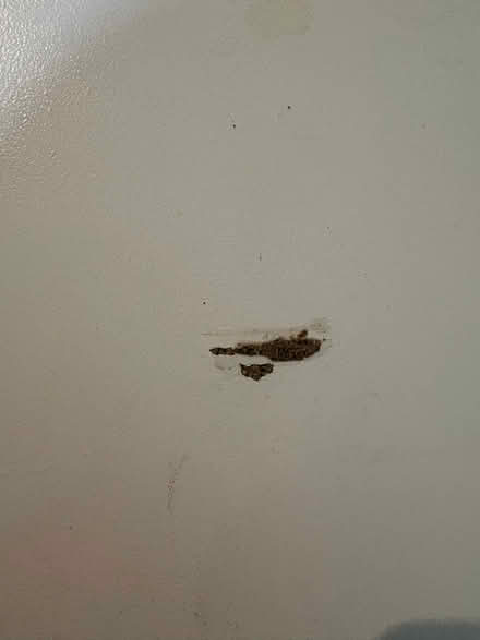 Photo of free White ikea 8-10 person extendable table (Disraeli HP13) #3