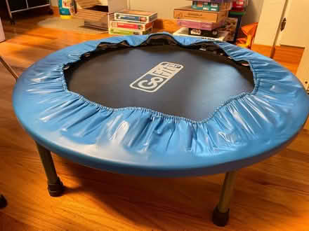 Photo of free Mini Trampoline (Serra Park) #2