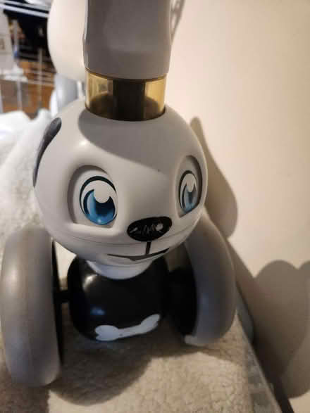 Photo of free Baby bicycle (Wimbledon park SW19) #2