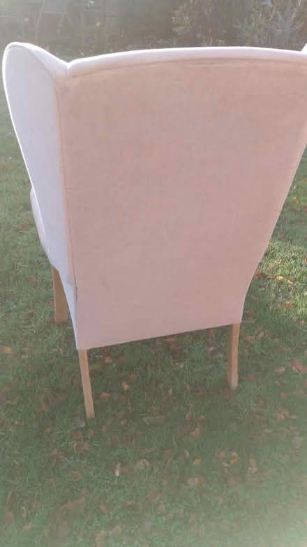 Photo of free Supportive wing back chair (Shrewsbury SY5) #3