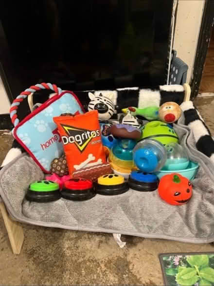 Photo of free Dog toys (Long ditton) #1