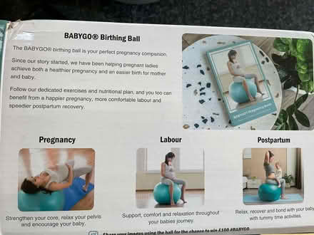 Photo of free Birthing Ball (Withington M20) #1