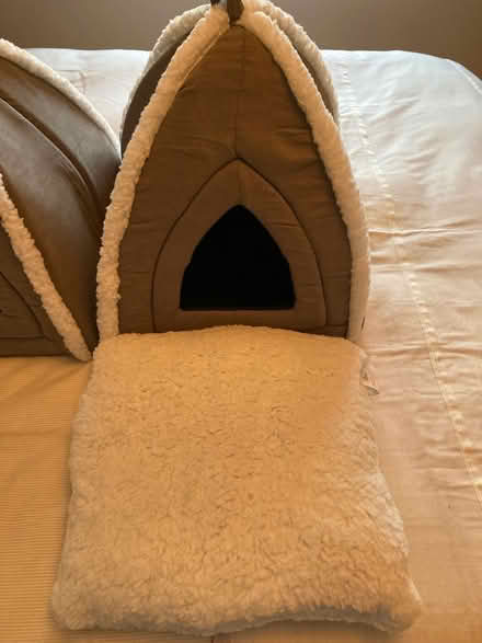 Photo of free Cosy "house" for kitten or small cat. (Ravensmoor CW5) #1