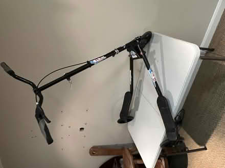 Photo of free Child’s Flicker (CT10) #2