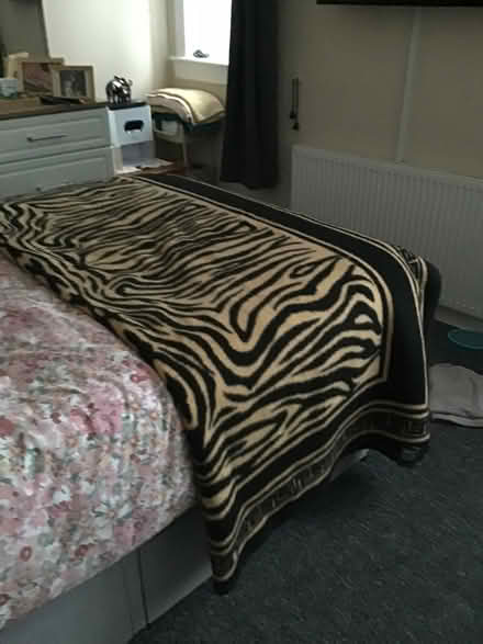 Photo of free Heavy Furry blanket (Fintry DD4) #2