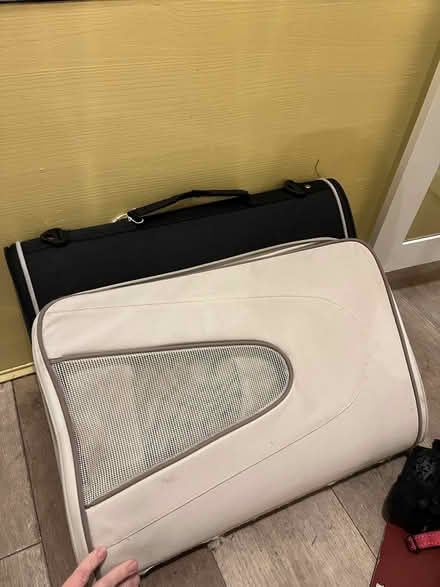 Photo of free Cat carriers (Acton/Askew Road) #3