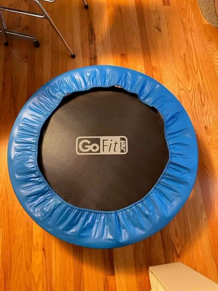 Photo of free Mini Trampoline (Serra Park) #1