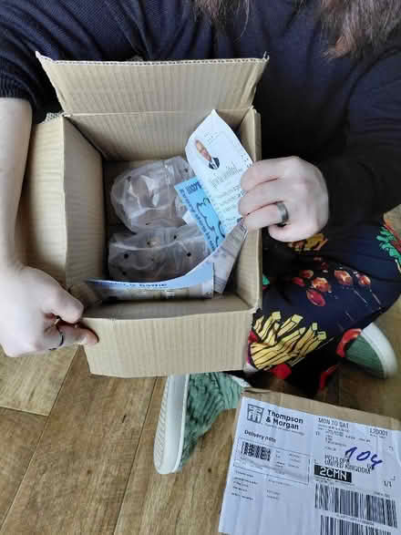 Photo of free Two boxes of spring bulbs (Rowner PO13) #1