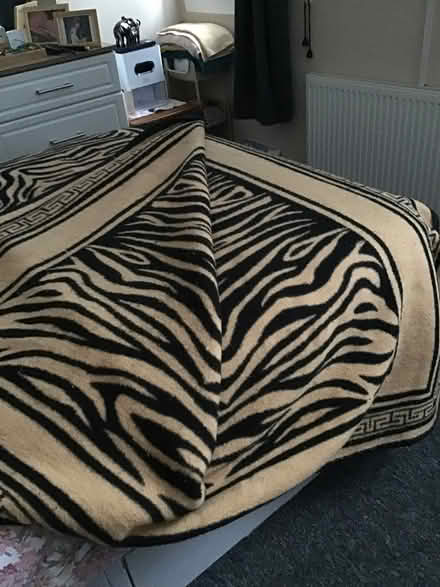 Photo of free Heavy Furry blanket (Fintry DD4) #1