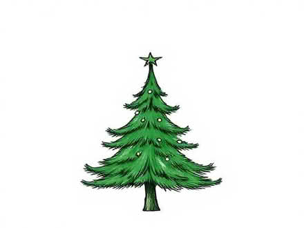 Photo of free Christmas tree (Wereham PE33) #1