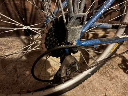 Photo of free Diamondback Sorrento bike (Freehold LA1) #4