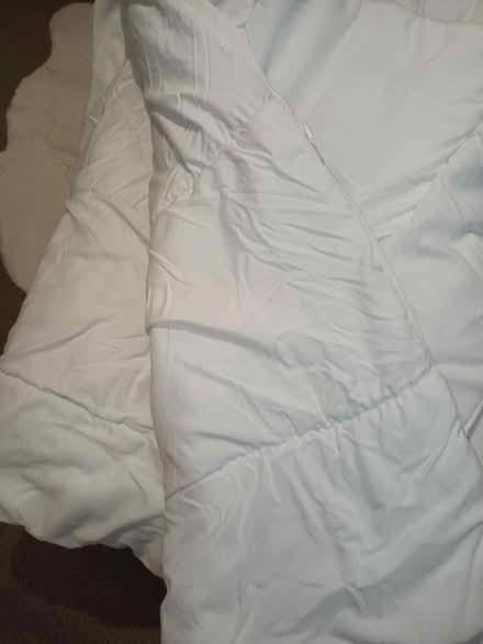 Photo of free Duvet (CT6) #2