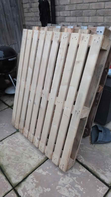 Photo of free 7 x shipping Pallets (Cheshunt EN8) #2