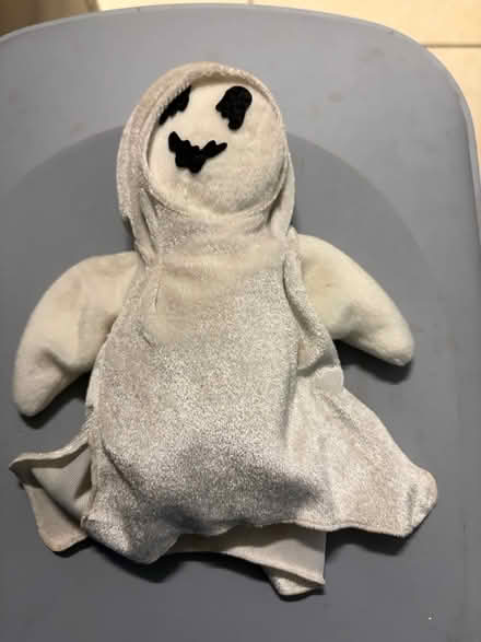 Photo of free TY Ghost (Westbury Wilts BA13) #1