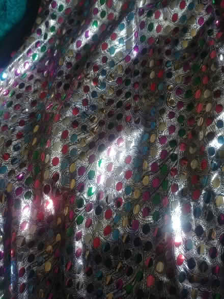 Photo of free Sequinned fabric (Nr South Norwood Lakes SE19) #2