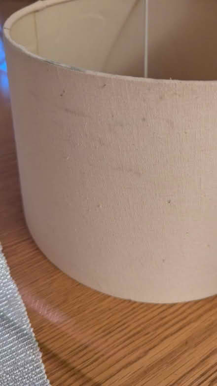 Photo of free Lampshade (RG24 Old Basing) #2