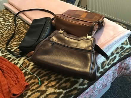 Photo of free Handbags (Fintry DD4) #1