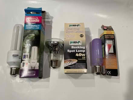 Photo of free Reptile basking lamps (Oake, Taunton) #1